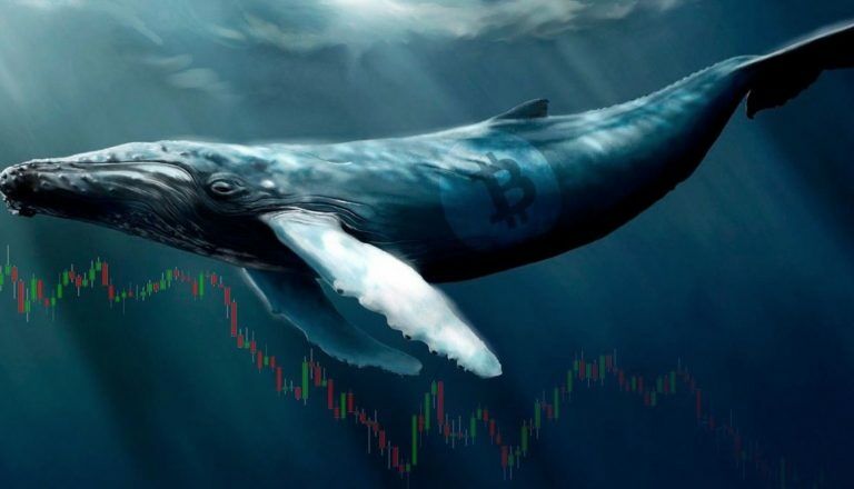 Whale Alert: за сутки биткоин киты вывели с криптовалютных бирж $169 млн