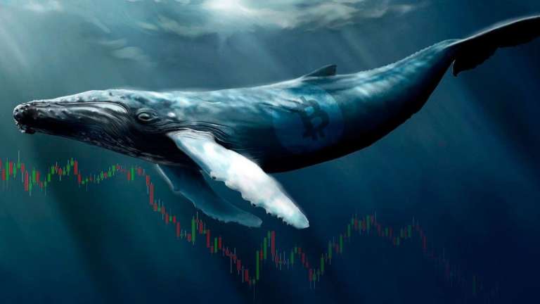 Биткоин-кит выводит BTC на 12 миллионов долларов из Coinbase на внешний криптокошелек