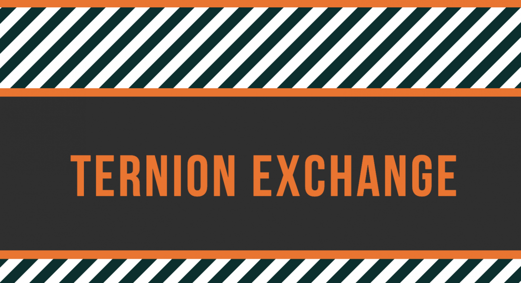 Обзор биржи Ternion exchange