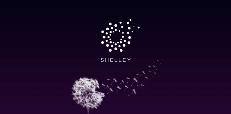Стала известна официальная дата запуска публичной тестовой сети Shelley в блокчейне Cardano