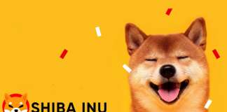 Токен Shiba Inu вырос на 70%, опередив Dogecoin
