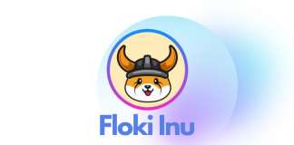 Логотип мем-токена Floki Inu появится на футболках клуба Ла Лиги