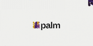 Palm NFT Studio