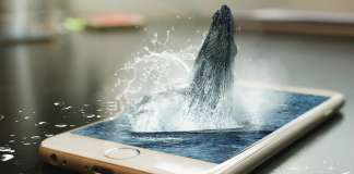 Ethereum-кит в выпрыгивает с экрана телефона